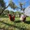 Bell tent in the vineyard with spectacular view