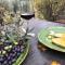 AGRITURISMO PODERE LE PIALLE - 蓬塔谢韦