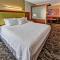 SpringHill Suites by Marriott Oklahoma City Moore - مور