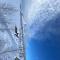 Guest house Sky Blue