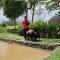 Tiris Pisan Glamping & Resort Puncak - Cikuray