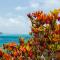 Colibri Hotel