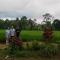 Ijen Farmer Homestay