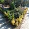 Garden View Seaside Guesthouse with Airport Transfer - Baku