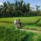 Uma Linggah Resort by Puri Signatures