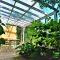 Butterfly Factory