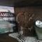 Apartman studio Otium
