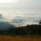 The Forest Resort - Muneeswaramudi Eco Hermitage and Farms - Tindummal