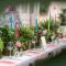 Montigo Resorts, Somerset