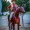 Big Texan Wagons - Amarillo