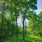 Serene Hideaway with Views, 1 Mi to Hike and Ski! - Wintergreen