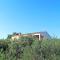 New! Beautiful stone villa in eco olive grove - Posedarje