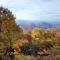 Lazy Bear Lookout - Cullowhee