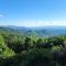 Lazy Bear Lookout - Cullowhee