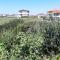 Green Villa