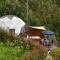 Golden Glamping
