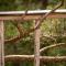 Üügumetsa treehouse Üügumetsa treehouse