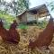 Wine Glamping Le Sedici