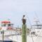 Just in Time at Destin Pointe - Destin