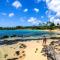 Napili Point C-12 - Lahaina
