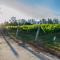 Cape Horn Vineyard 5 Bedroom Riverfront House on Working Vineyard