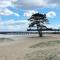 Cozy Cottage near Beach in Ahus