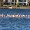 Luxueux appartement Ritz Carlton Marina Smir