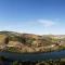 Delfim Douro Hotel