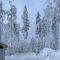 VILLA RIIHITONTTU MUURAME RIIHIVUORI