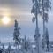 VILLA RIIHITONTTU MUURAME RIIHIVUORI