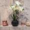 Marble Arch Suite 2-Hosted by Sweetstay - Londýn
