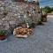 Trulli delle succulente