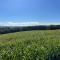 TINY-HOUSE mit Alpen- Stadt- und Poolblick , WLAN
