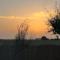 Il Tramonto