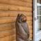 Warrick Cabin
