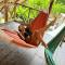 Hostal Kaia