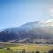 The Vines - Gibbston