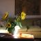 Maridiana Alpaca Country House
