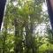 Monteverde Romantic Cabañas 5minutes mtv park