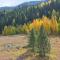 4514 Timber Falls Ct #1006