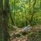 Coyote Cabin at Woodland Retreat at DeSoto beside DeSoto State Park - Fort Payne