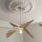 Corte magnifique T2 45m2 neuf 5 personnes place st marcel hyper centre wifi lave linge tv