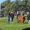 Rubys Cottage Farm Stay