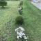 Paja Guesthouse - Camping