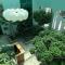 Badam dArt Boutique Hotel
