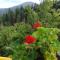 Guest House Stoletnika - Jagodina