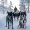 Malangen Resort - Mestervik