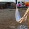 Twin Palms Desert Getaway - Jacuzzi, Fire pit, Meditation room & more - Joshua Tree