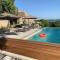 Provencal farmhous Lubéron, swimming pool