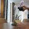 Beachfront 2BR Apartment with Balcony and Sea View, Biser Mora